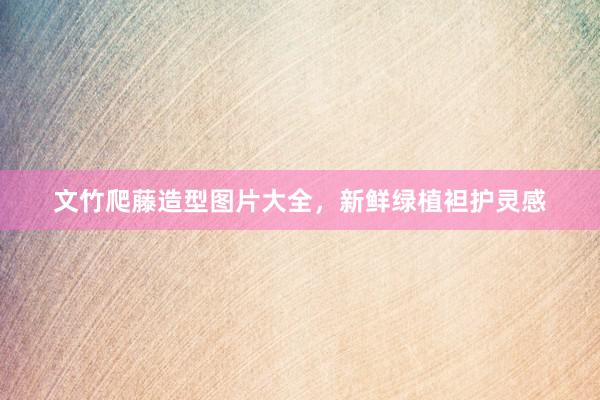 文竹爬藤造型图片大全，新鲜绿植袒护灵感