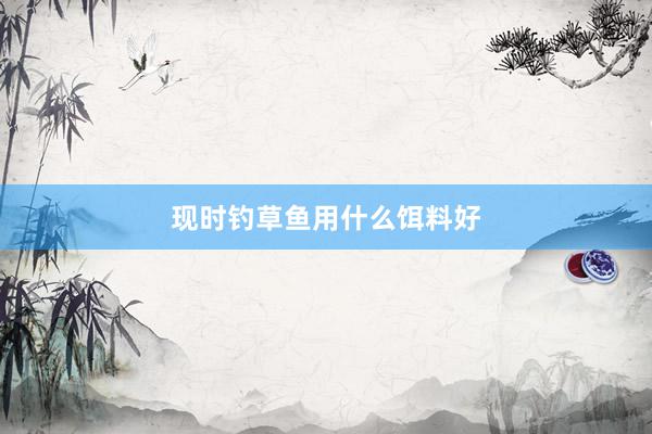 现时钓草鱼用什么饵料好