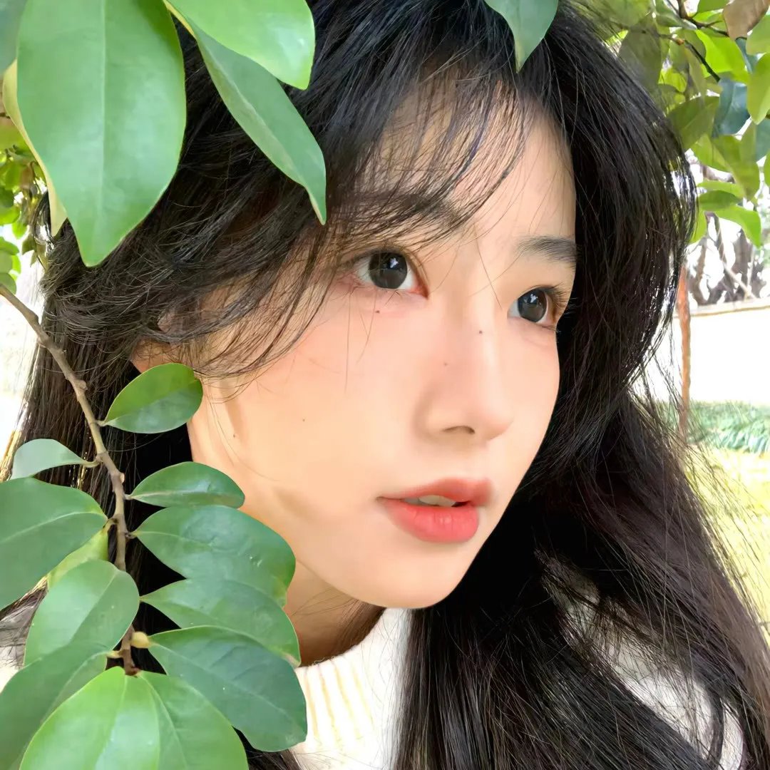 娘娘稳定发挥六宫都要倒霉